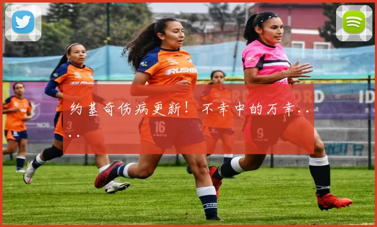 约基奇伤病更新!不幸中的万幸....